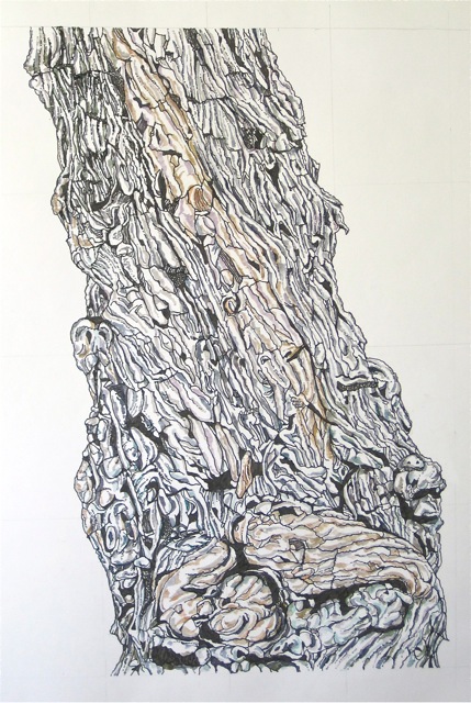 Trunk O